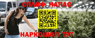 apvp Кунгур