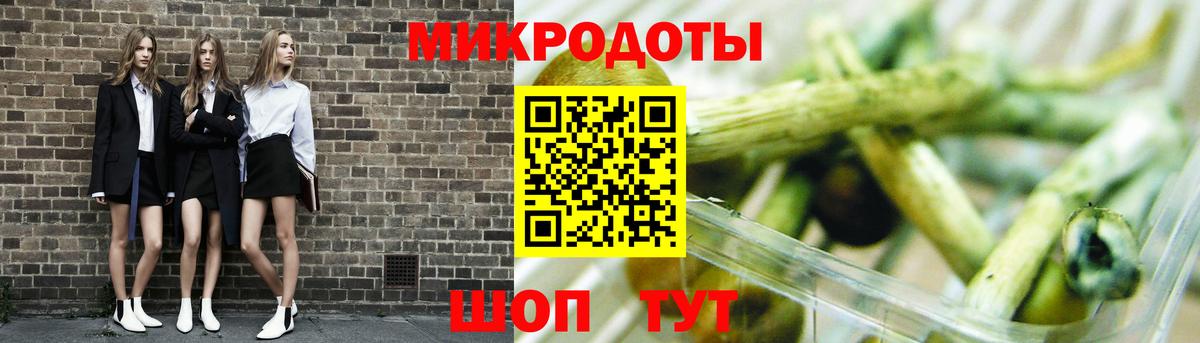 Псилоцибиновые грибы Psilocybe Дубна
