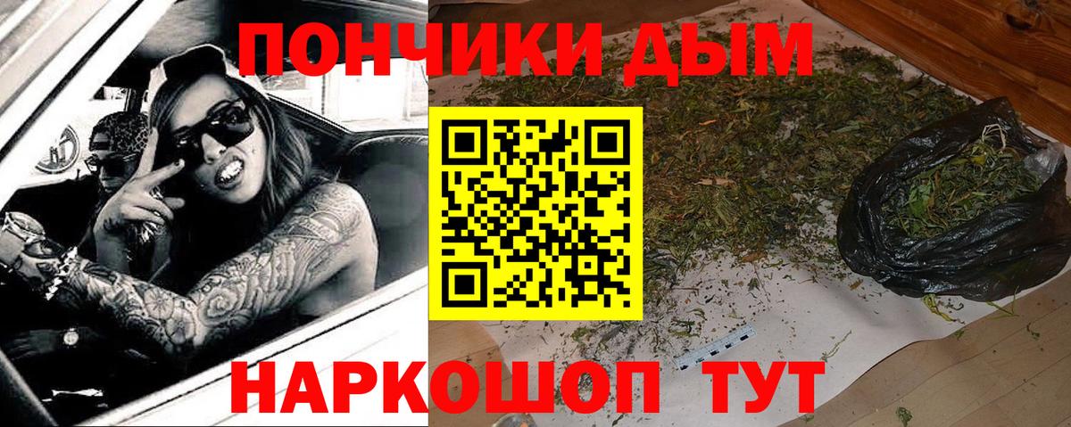 Конопля ГИДРОПОН  Каннабис гибрид  Вход с VPN  Бошки марихуана сатива  Каннабис OG Kush  Дубна 
